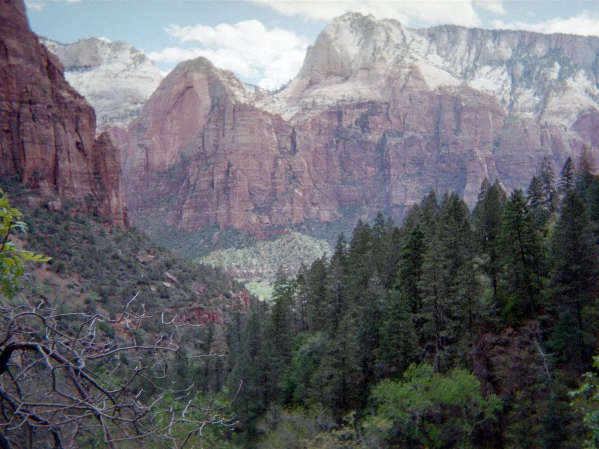 Red and white sandstone cliffs rising above a green forested canyon floor in Zion National Park, Utah.